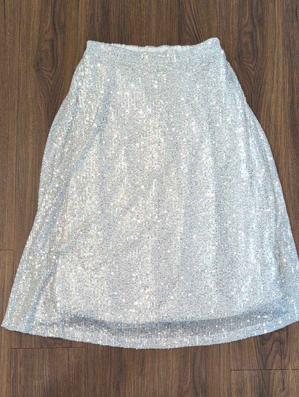 Silver Sequin Skirt